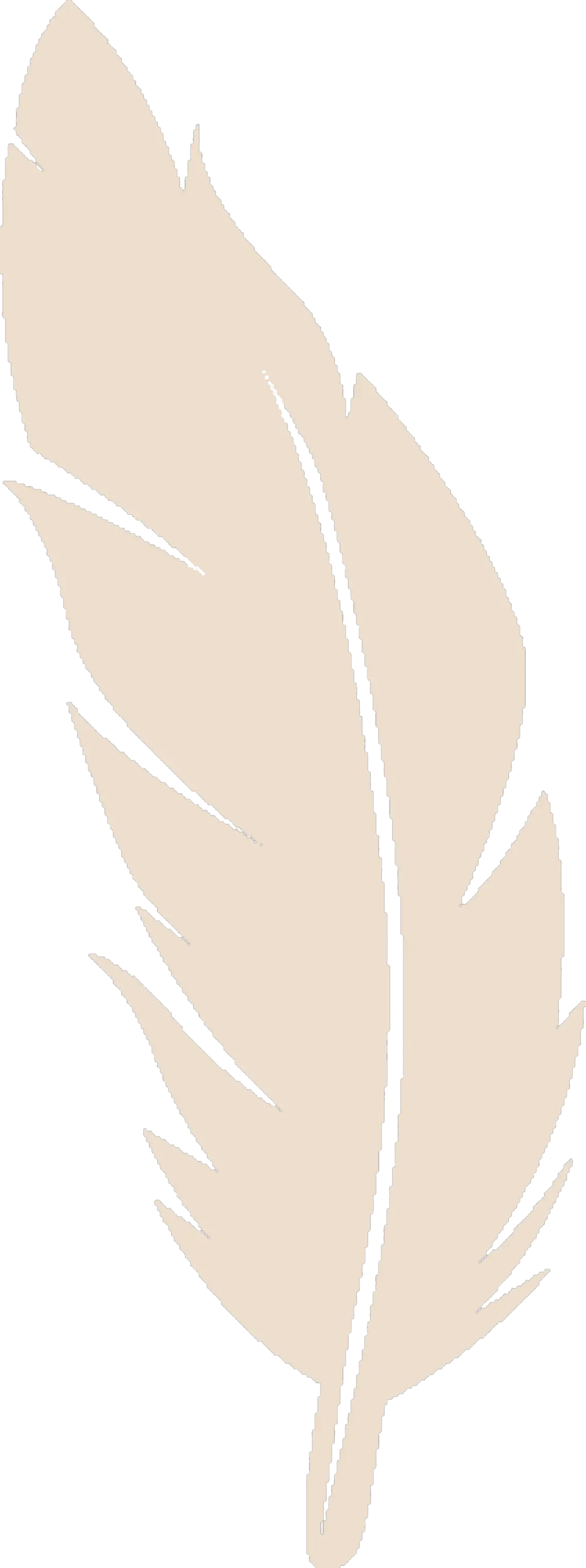 Feather icon