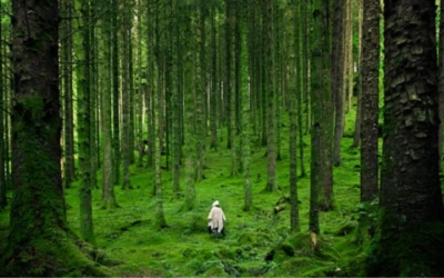 Mindfulness: BREATH IS SPIRIT, the act of breathing is living