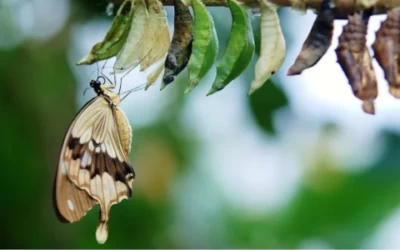 Ademtherapie en kanker, een blog over hoop en vertrouwen